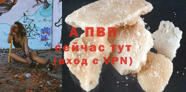 прущие грибы Няндома