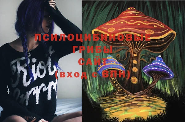ALPHA-PVP Нязепетровск
