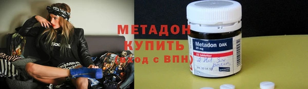 прущие грибы Няндома