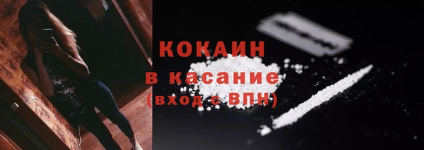 прущие грибы Няндома