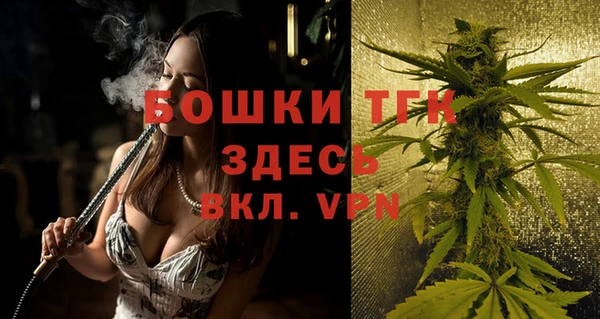 прущие грибы Няндома