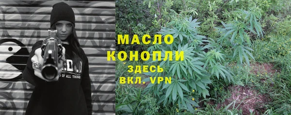 прущие грибы Няндома