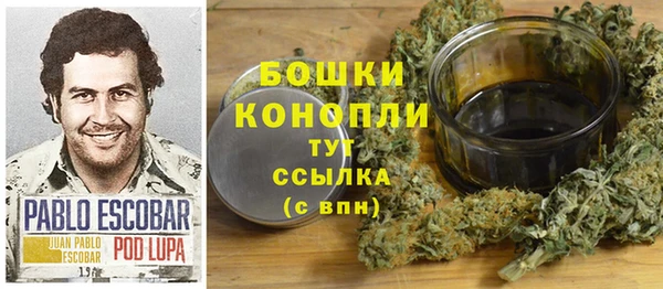 прущие грибы Няндома