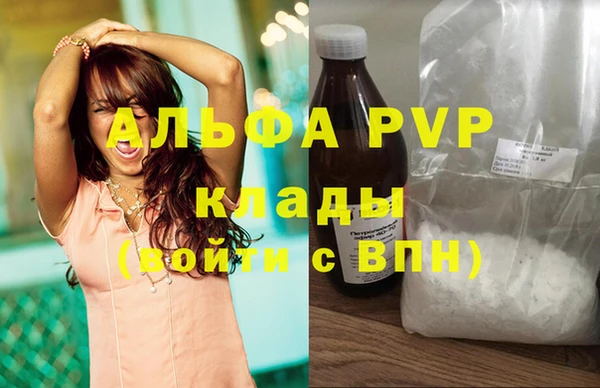 прущие грибы Няндома