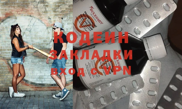 прущие грибы Няндома