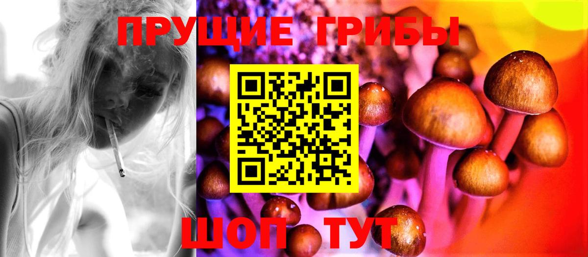 Галлюциногенные грибы Psilocybine cubensis  Вход с VPN  Приморско-Ахтарск 